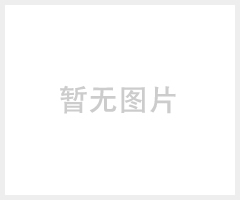 【斯进科技】SJ-Y350 8寸专业教学音箱